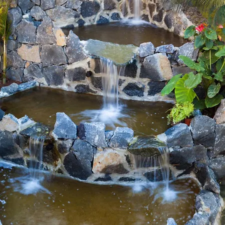 Panoramica Garden 호텔